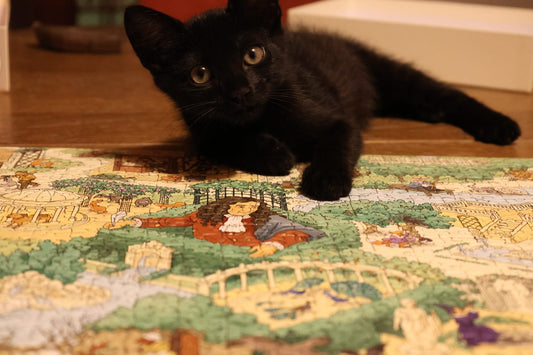 Quand le chat a mangé la pièce…